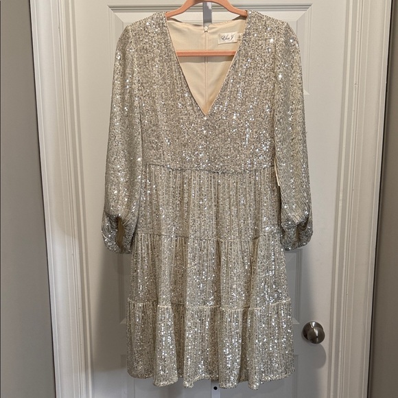 NWT Eliza J Silver Sequin Balloon Sleeve Skater Dress Size 8 New Years Party - Picture 3 of 15
